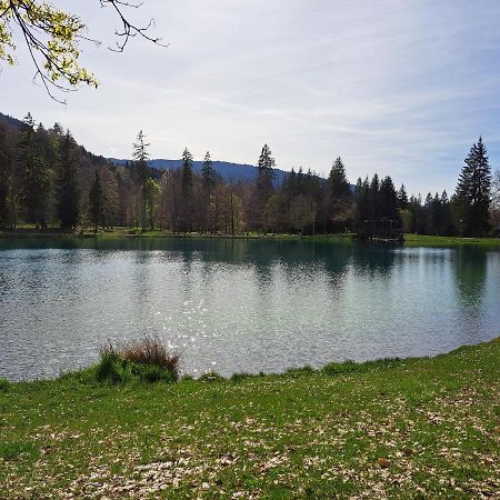 Le Duplex Septimontain Lägenhet Samoëns Exteriör bild